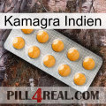 Kamagra India levitra1